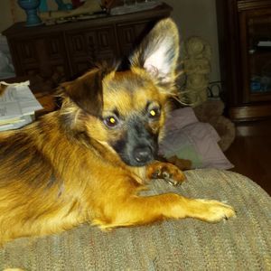 Meet your Posher, Connie